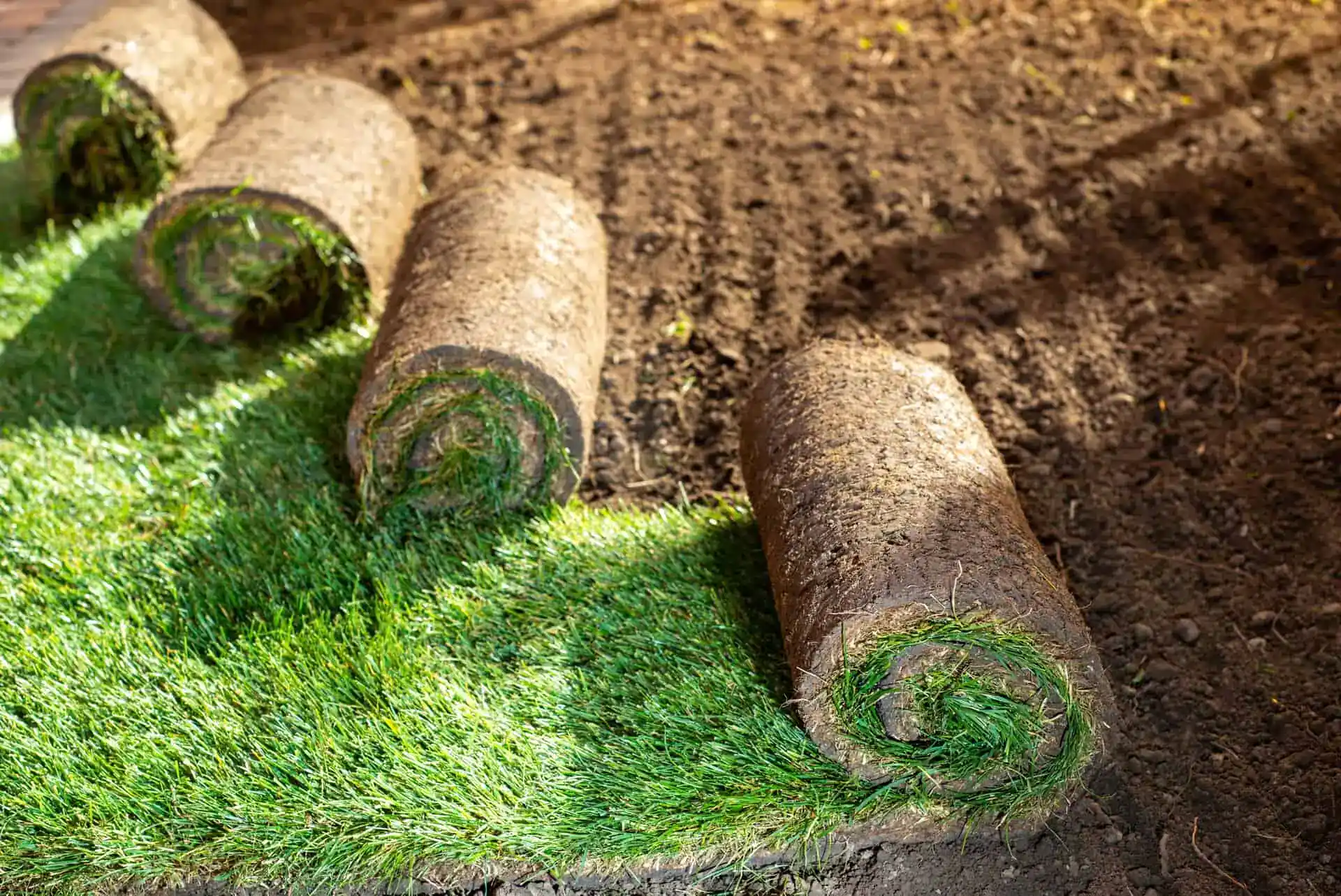 Landscaping Insurance