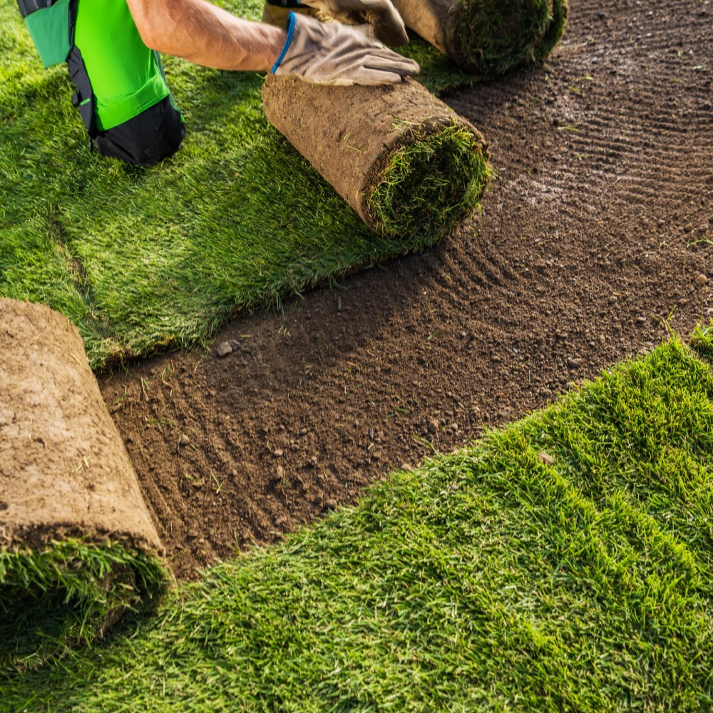 Landscaping Insurance Arizona